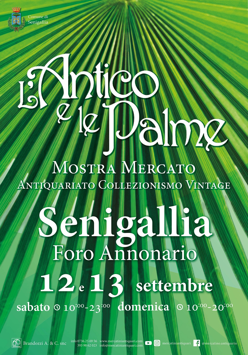 l'antico e le palme